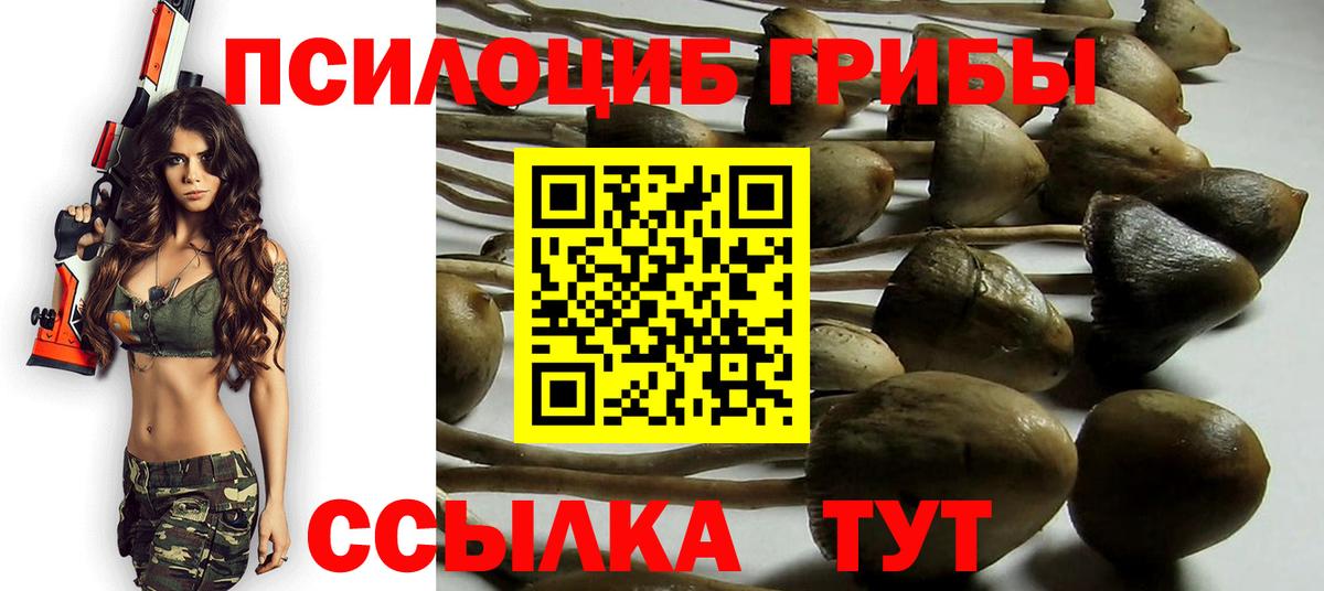 купить   Псилоцибиновые грибы GOLDEN TEACHER  Галлюциногенные грибы MAGIC MUSHROOMS  Вход с VPN  Новокубанск 