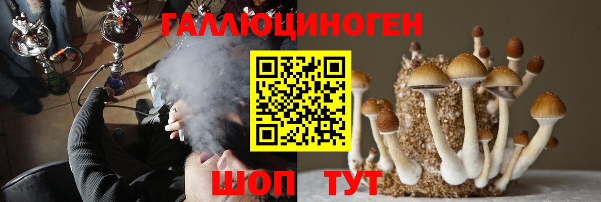Галлюциногенные грибы GOLDEN TEACHER Новокубанск